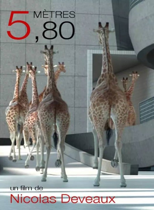 5米8 封面
