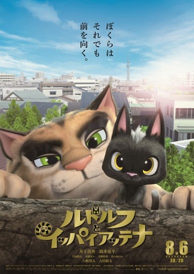 黑猫鲁道夫 封面