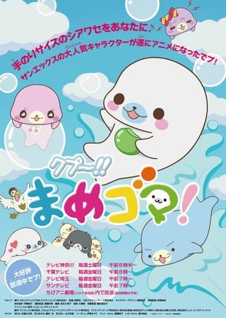 海豹宝宝 封面