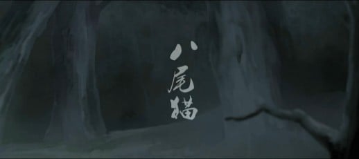 八尾猫 封面