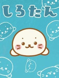 海豹小白 封面